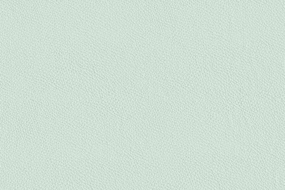 California Duck Egg Blue