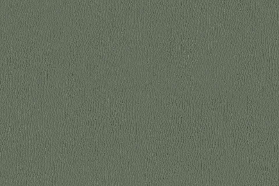 California Evergreen