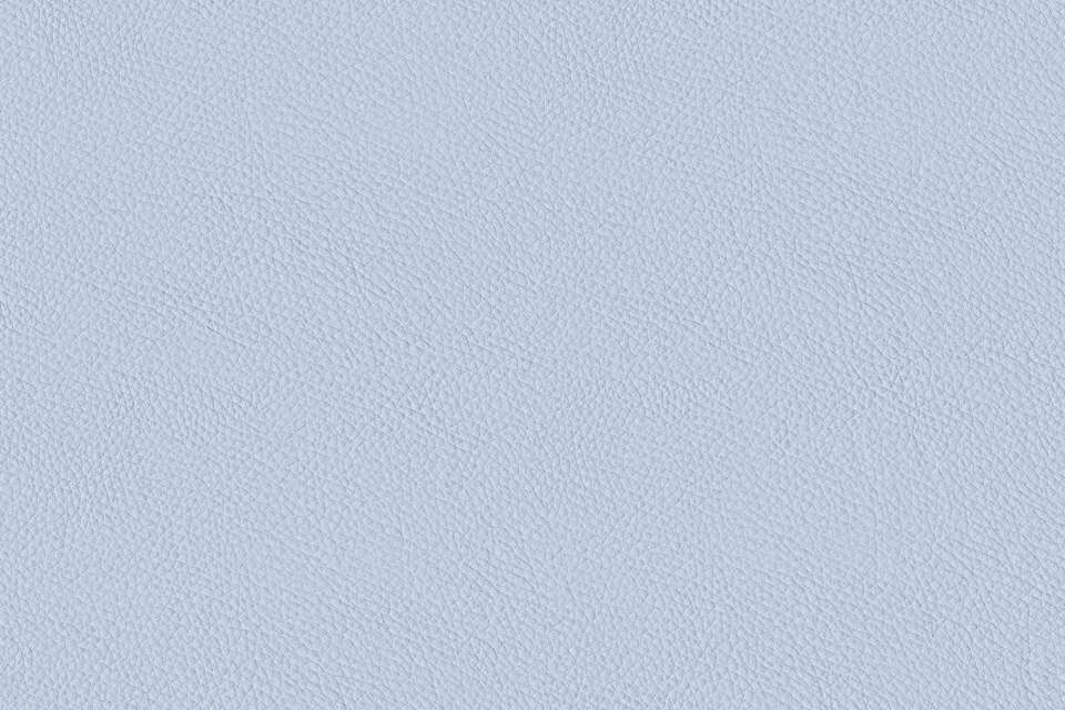 California French Lilac