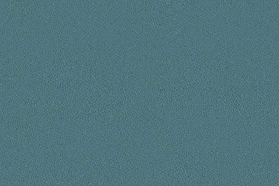 California Galapagos