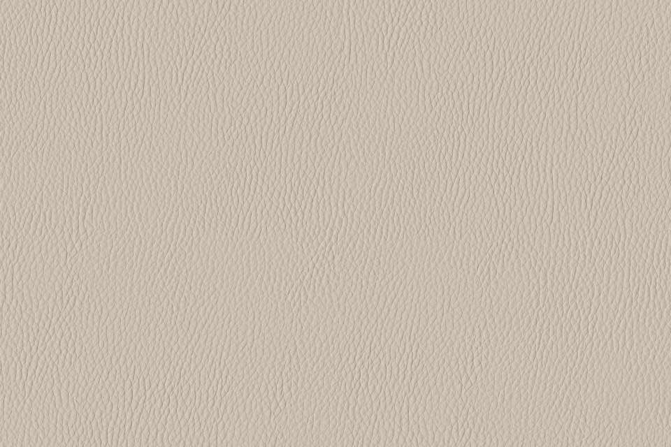 California Harbor Gray