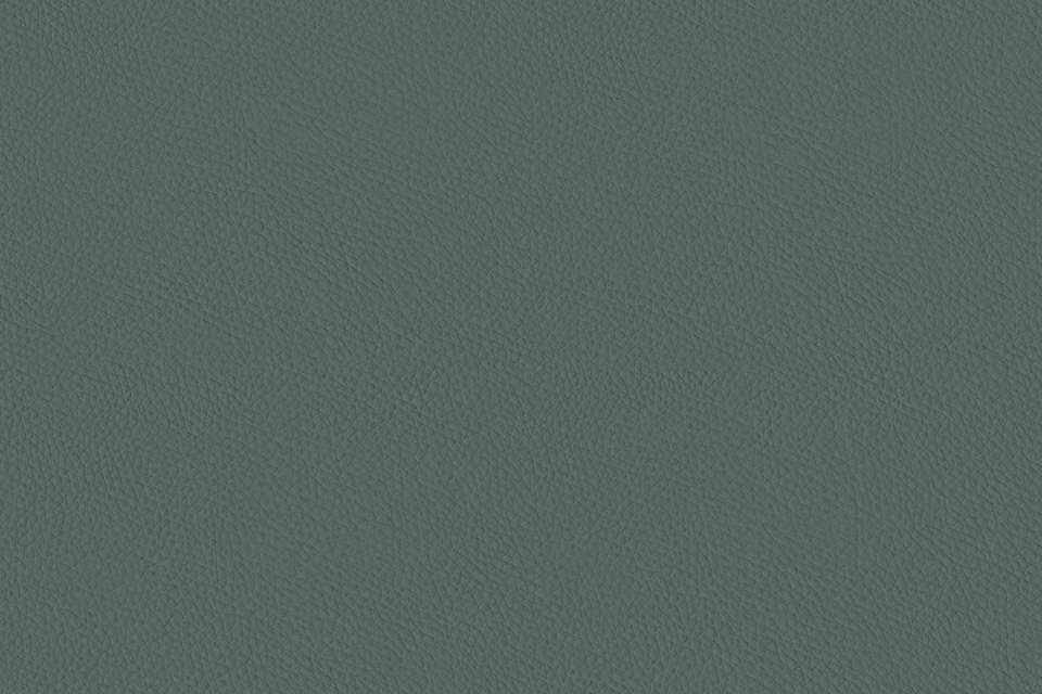 California Pine