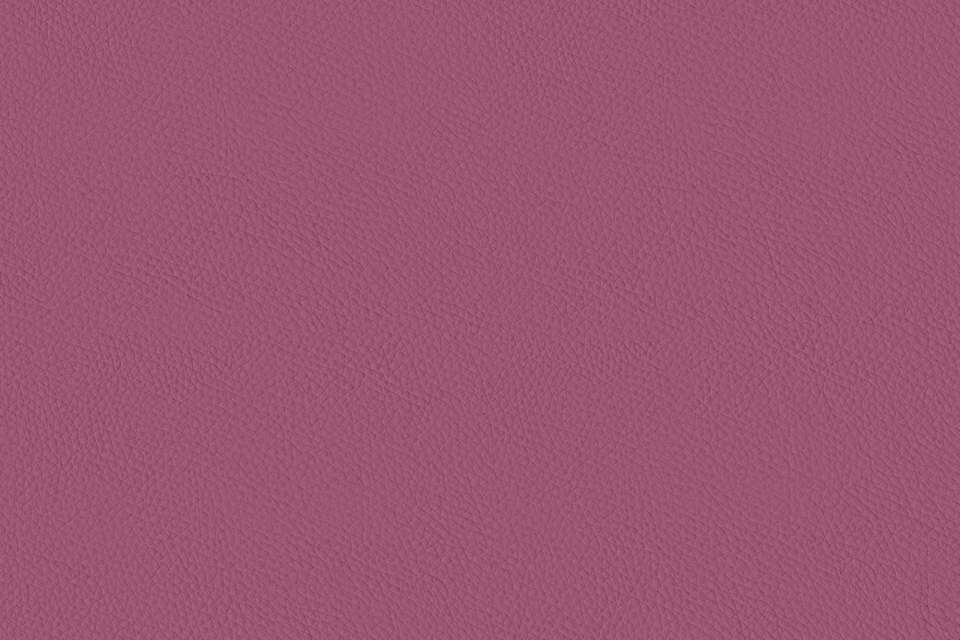 California Rhododendron