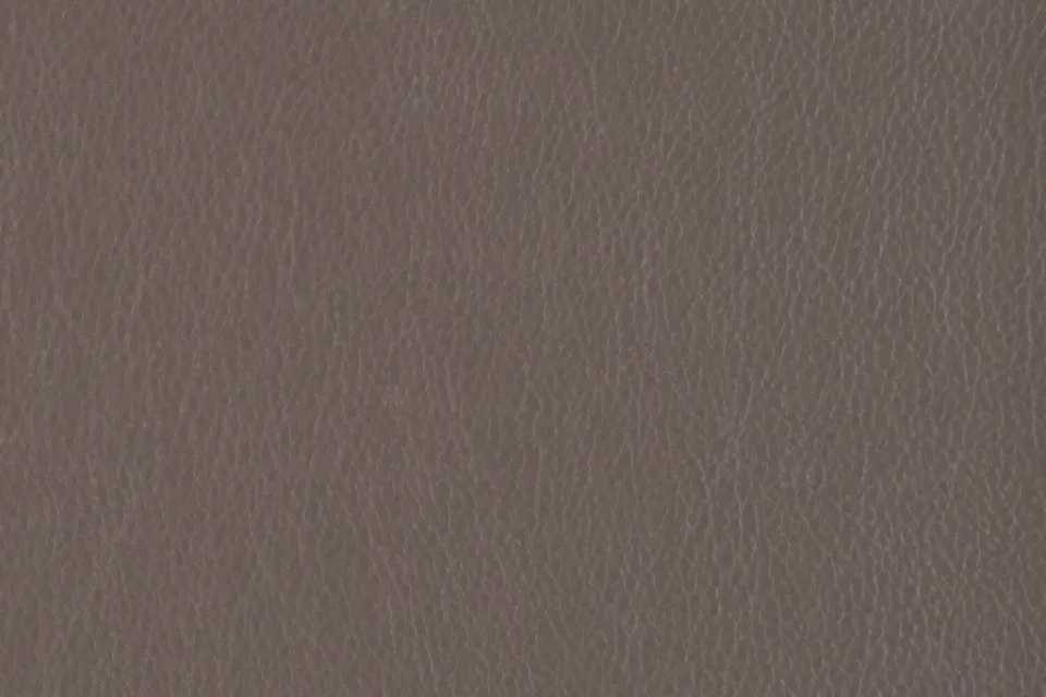 Decoy Parallel
