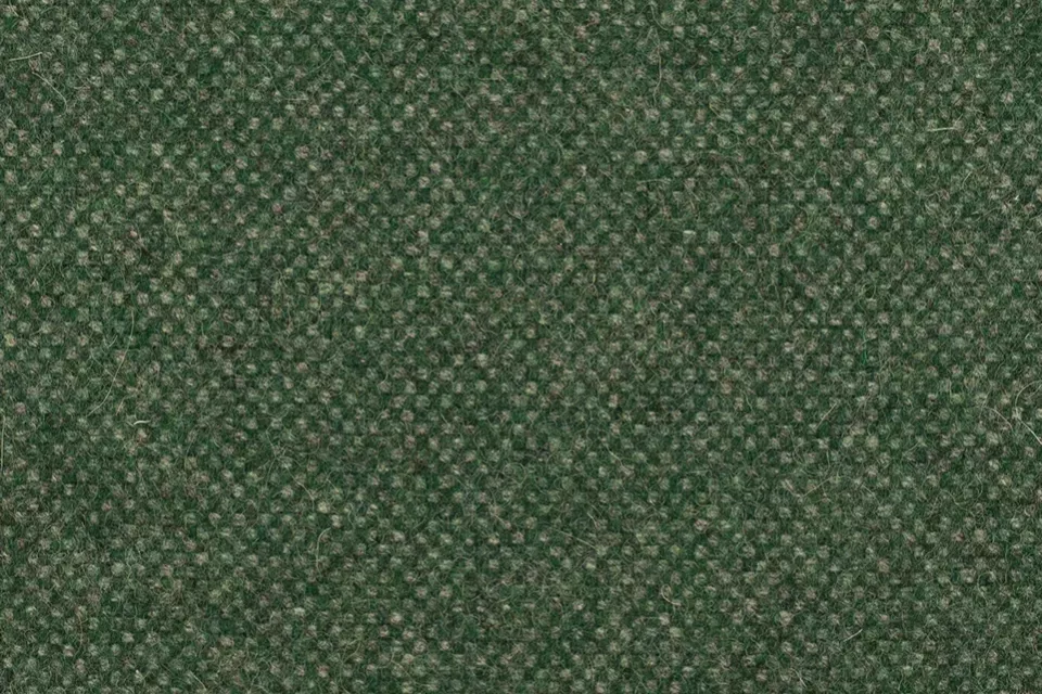 Ellwood Ivy Ellwood Ivy