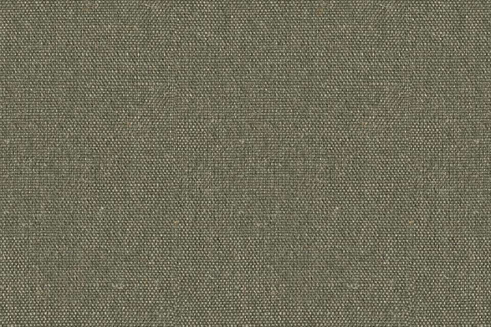 Album Spruce