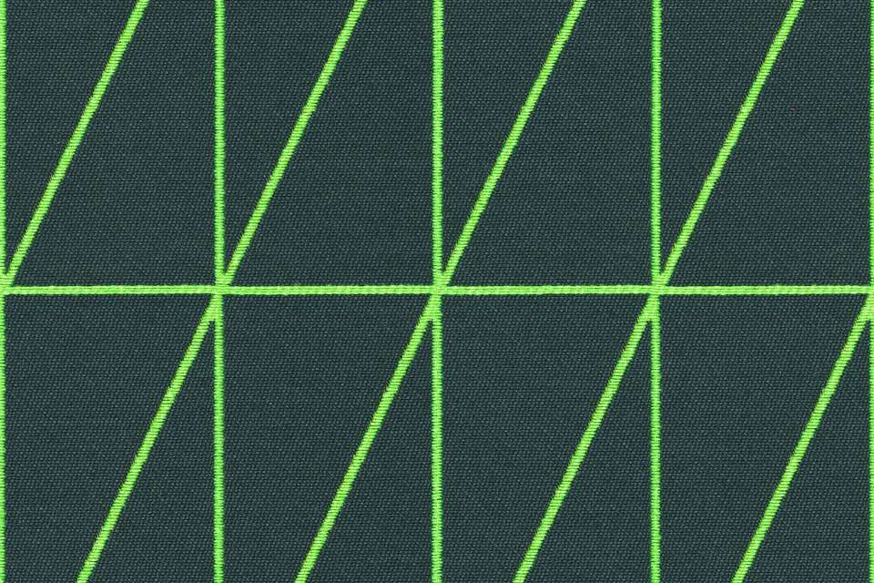 Bright Angle Evergreen
