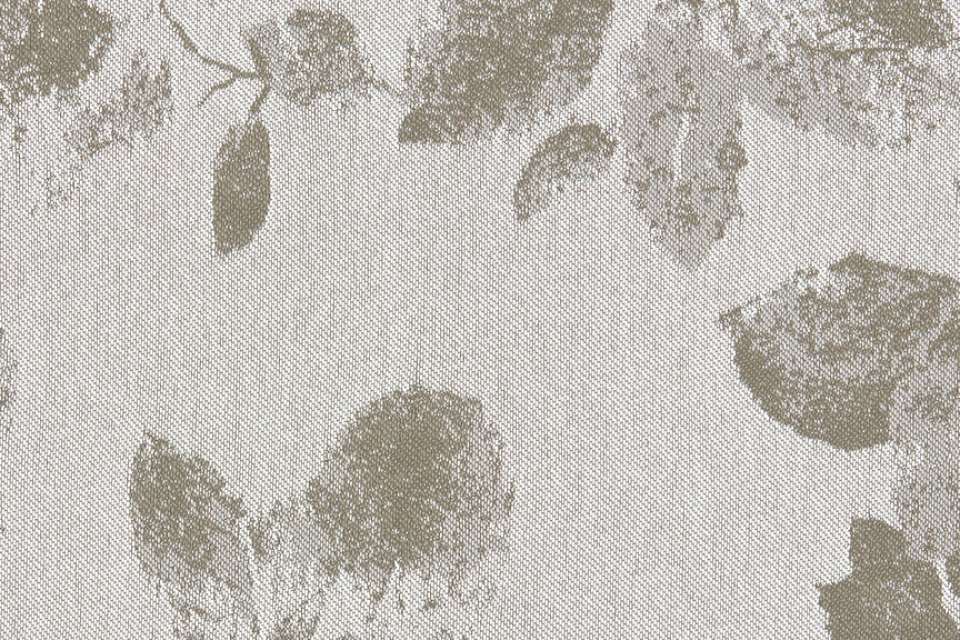 Canopy Diffuse