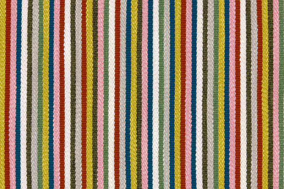 Concord Stripe Tokay Concord Stripe Tokay
