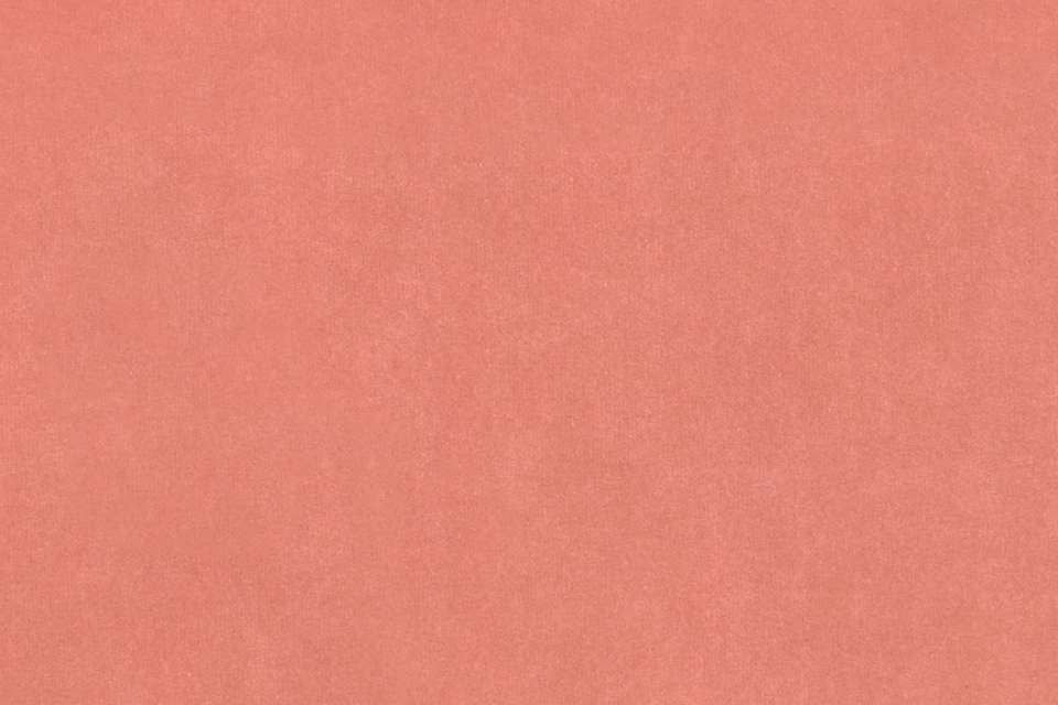 Cotton Velvet Rosebud Cotton Velvet Rosebud