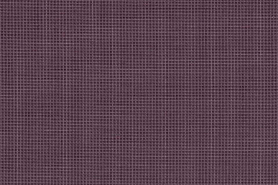 Pallet Medjool Pallet Medjool