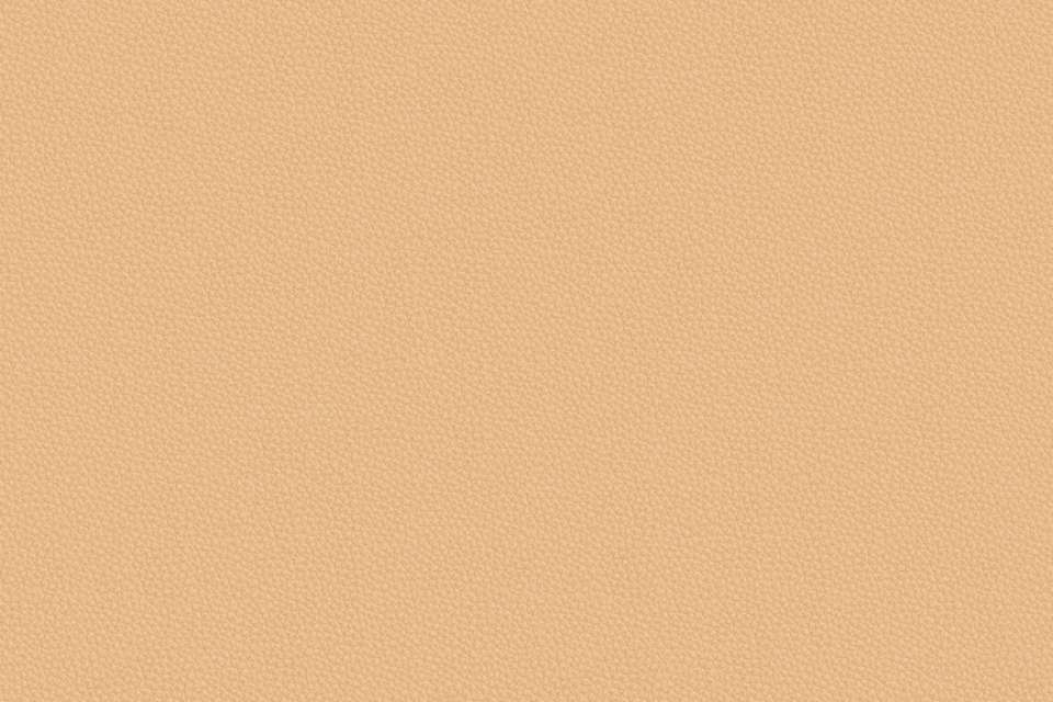 Prone Leather Shore