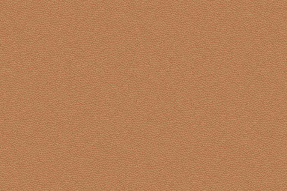 Prone Leather Bricolage