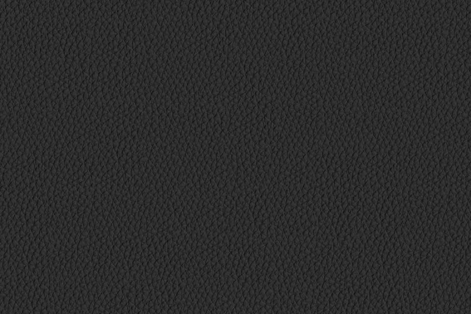 Raise Leather Black Raise Leather Black