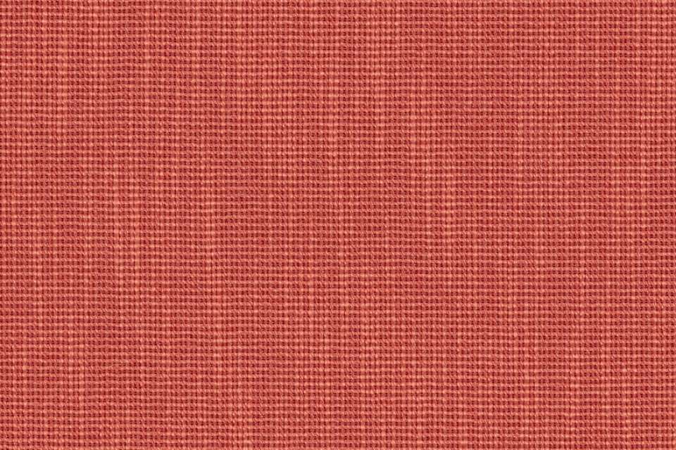 Ribbed Weave Zinnia Ribbed Weave Zinnia