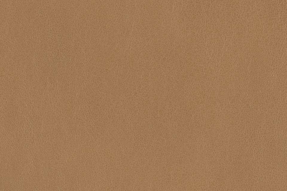 Seal Leather Legend Seal Leather Legend