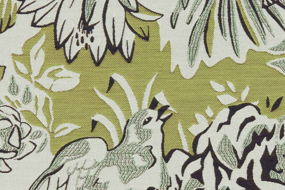 Songbird Finch Songbird Finch