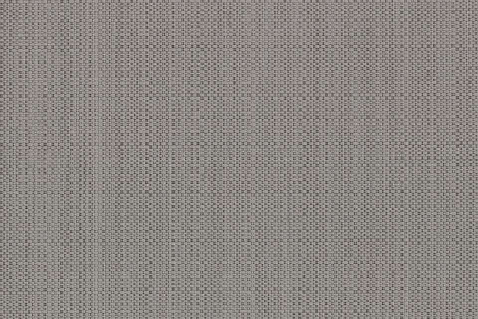 Switch Titanium Switch Titanium
