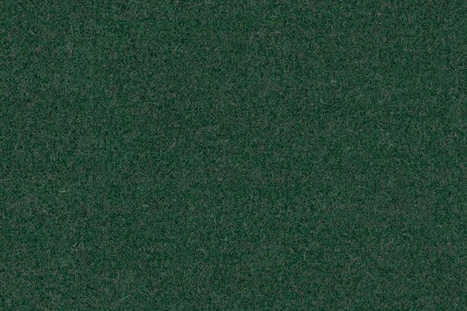 Tempo Camouflage Tempo Camouflage