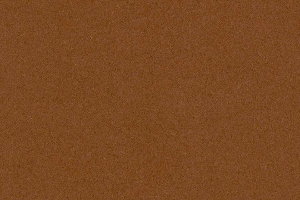 Tempo Flaxseed Tempo Flaxseed