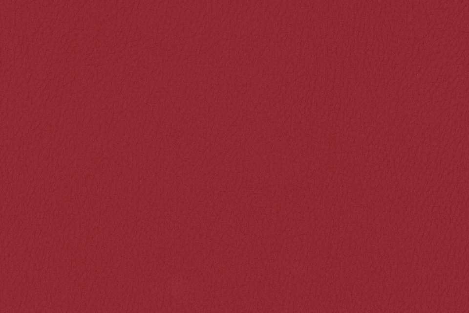 Noble Paprika Noble Paprika