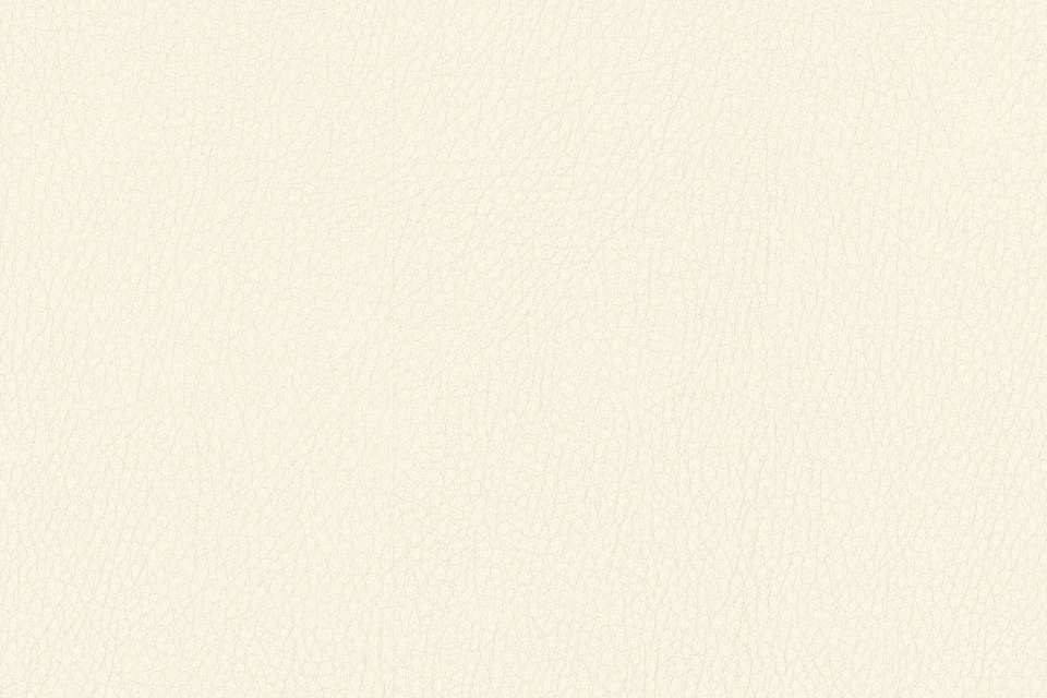 Noble White Noble White