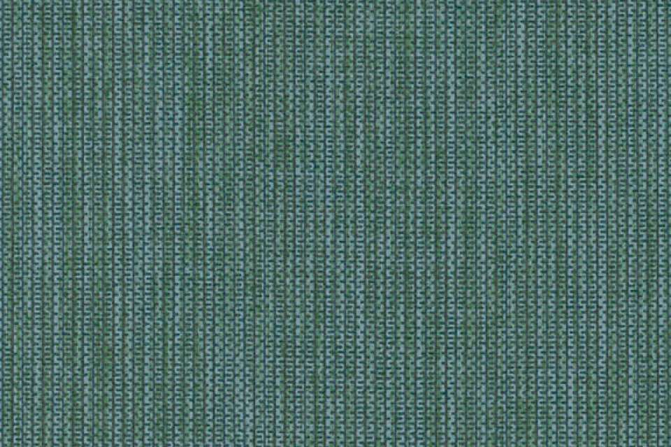 Box Chain Evergreen