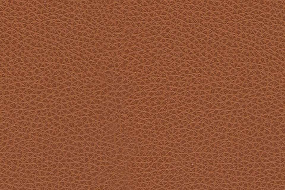 Canyon Nutmeg