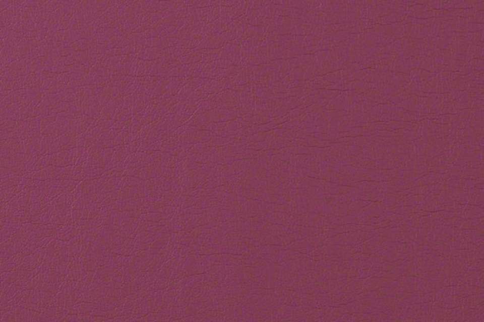 Corium Boysenberry Corium Boysenberry