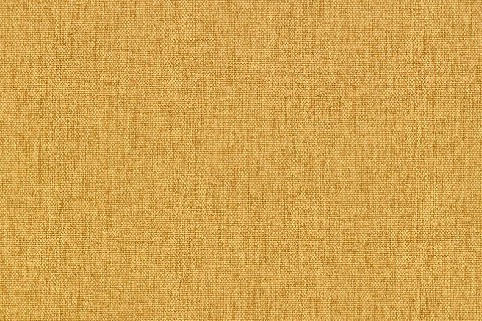 Face Value Sunflower