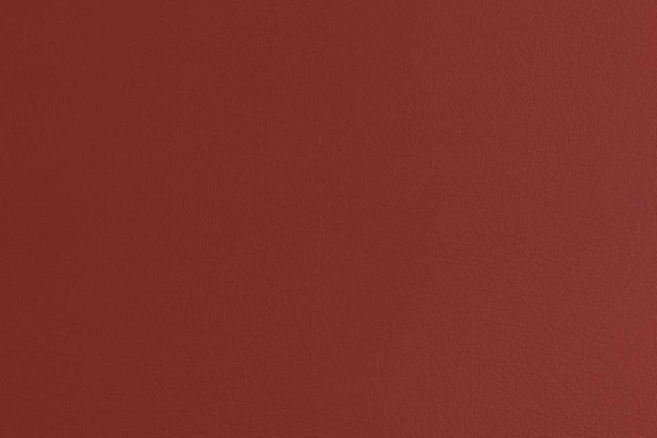 Moccasin 2.0 Rustic Red