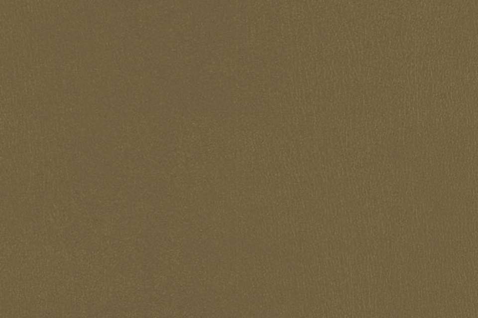 Not A Hide Olive Not A Hide Olive