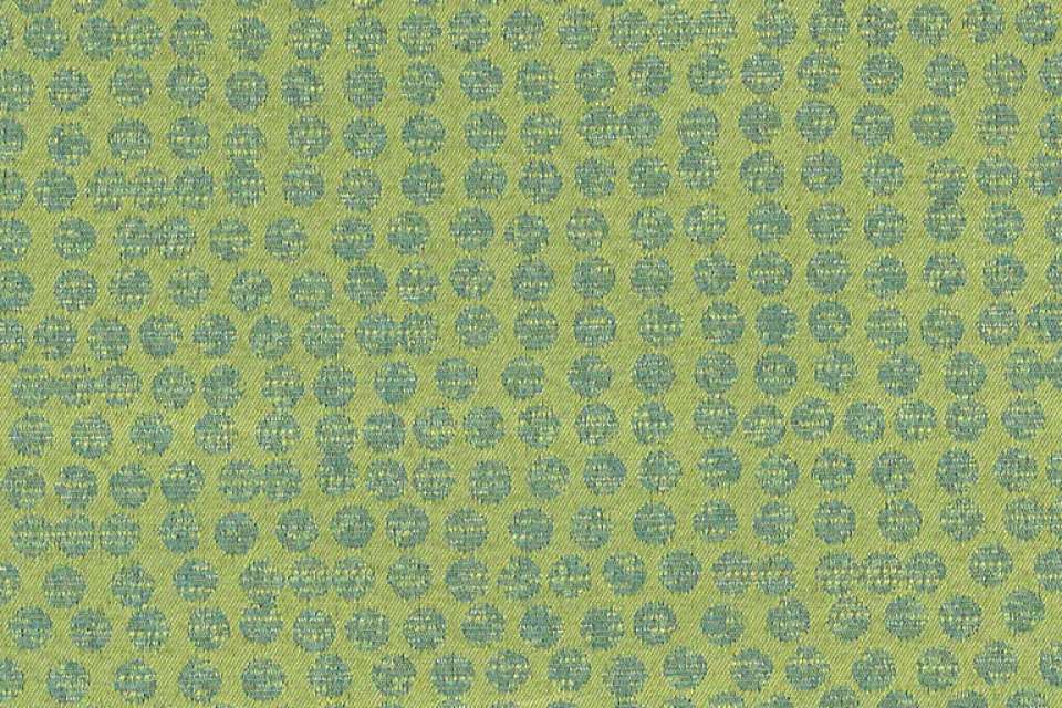 Polka Limelight Polka Limelight