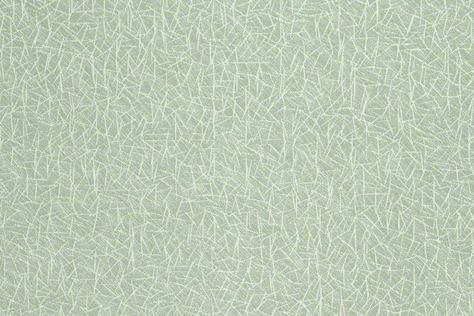 Prisma Evergreen Prisma Evergreen
