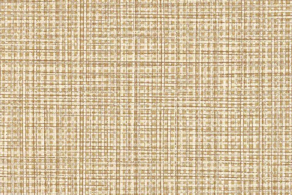 Raffia Cinema Raffia Cinema
