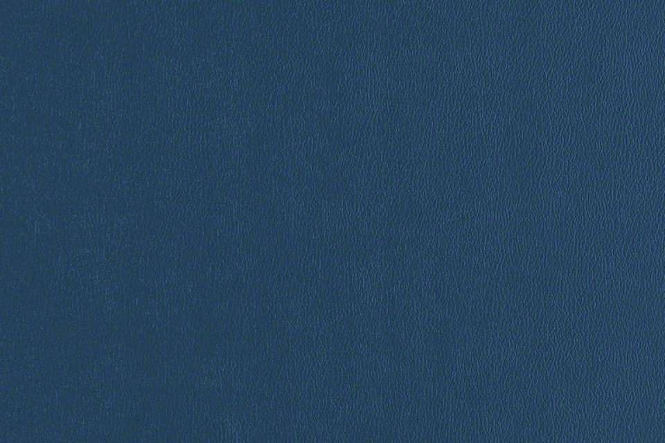 Rally Regimental Blue Rally Regimental Blue