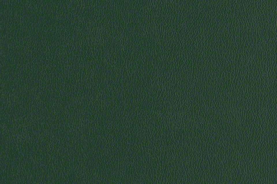 Rally Yew Green Rally Yew Green