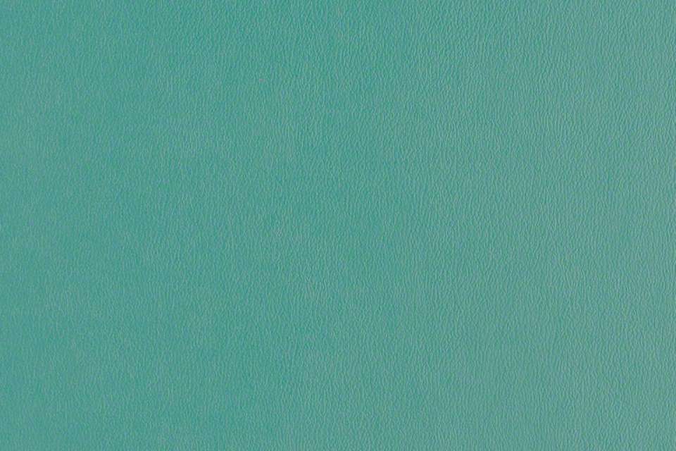 Rally Turquoise
