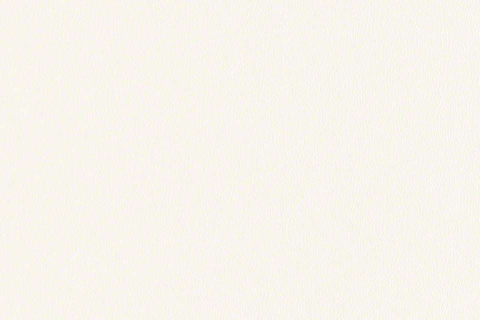 Rally Bright White