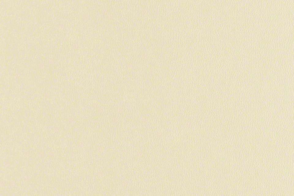 Rally Parchment