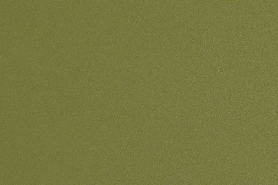 Scout 2.0 Green