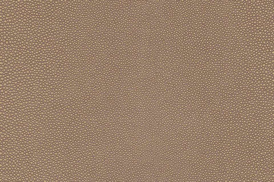 Shagreen Chai