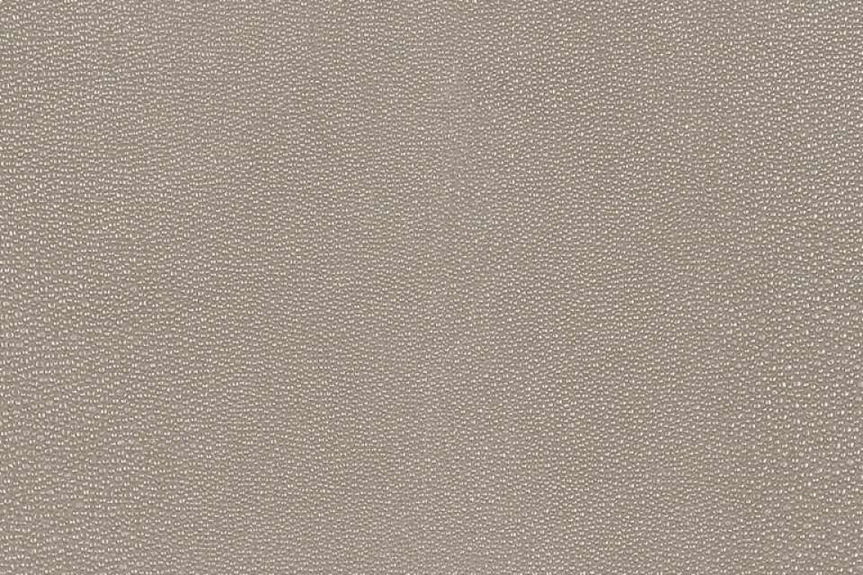 Shagreen Mineral