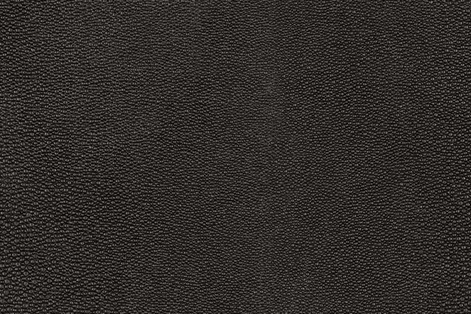 Shagreen Poppy Shagreen Poppy