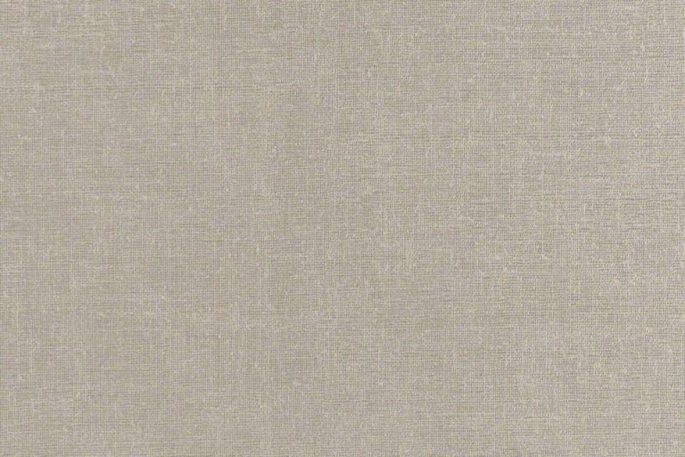 Shantung 2.0 Platinum Shantung 2.0 Platinum
