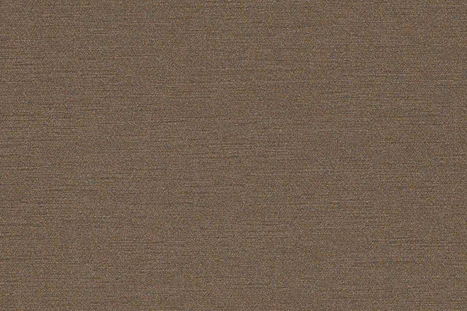 Shiki Silk Wild Spider Shiki Silk Wild Spider
