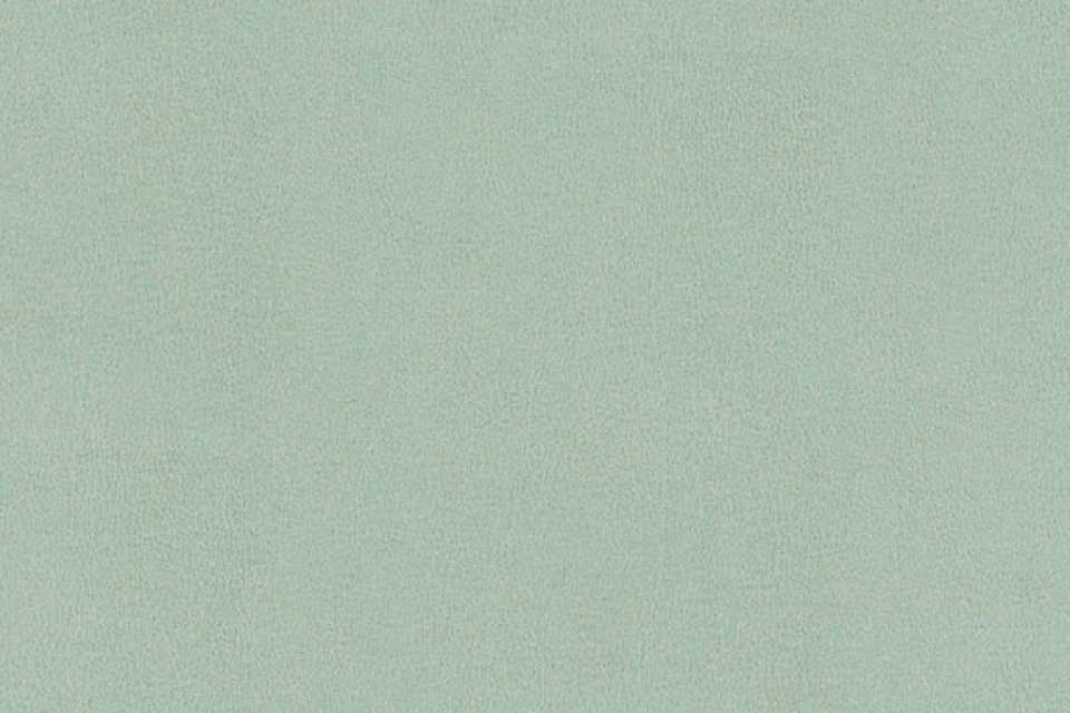 Shiny Hide Jade