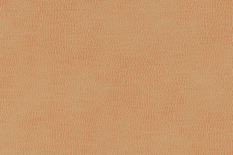 Silicone Mountain Siderite Silicone Mountain Siderite