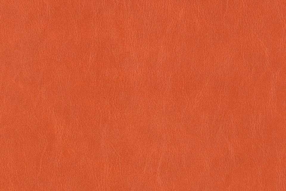 Simply Hyde Orange Simply Hyde Orange