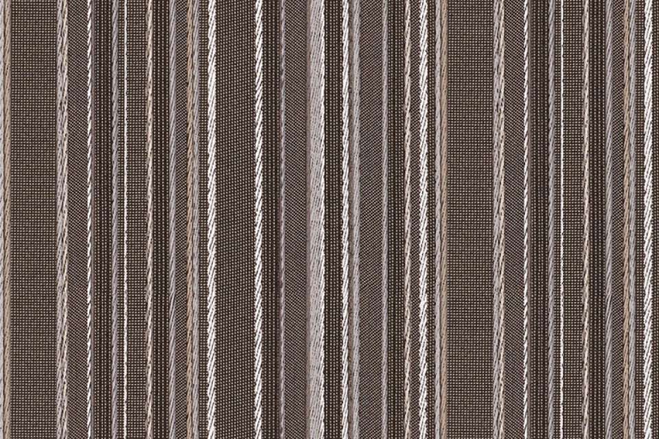 Stripes Otter Stripes Otter